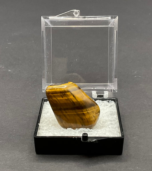 Tiger Eye Collection free-form