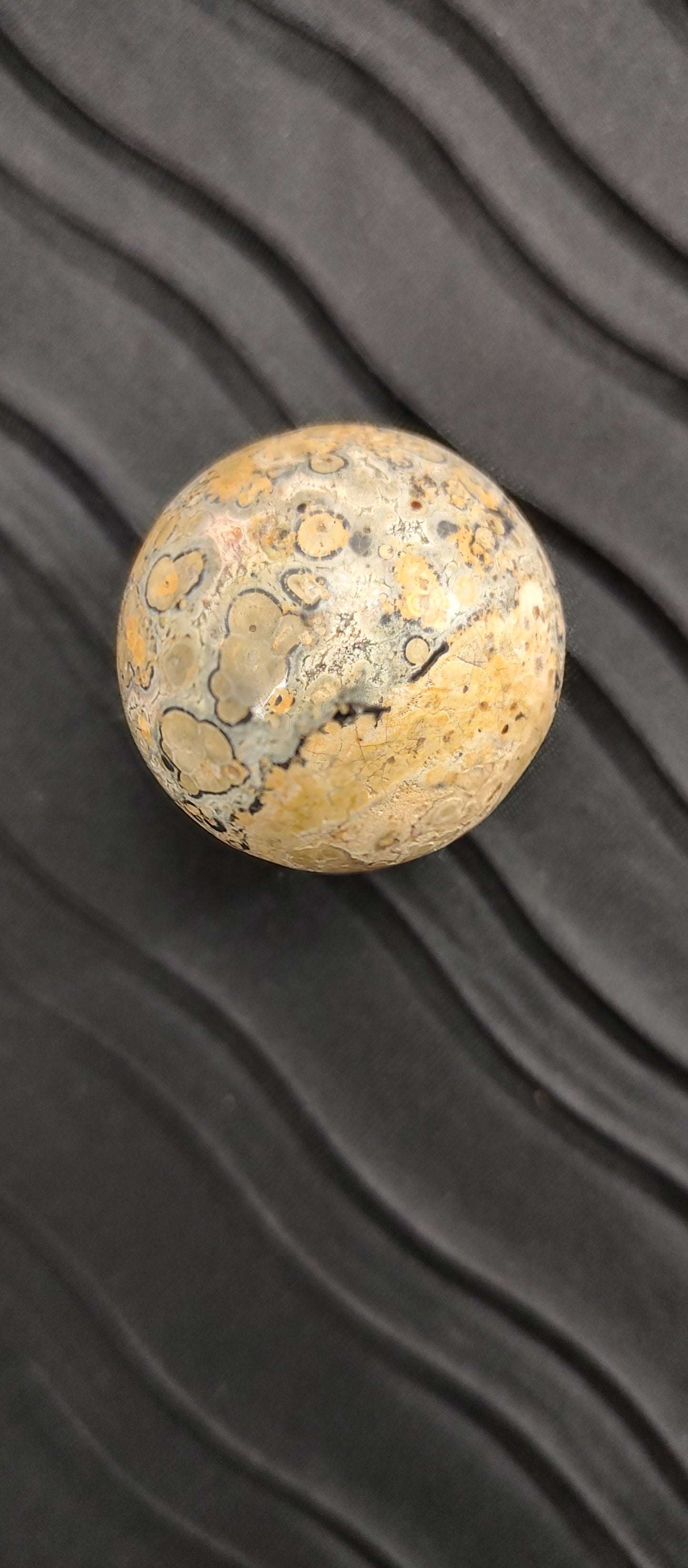 Petrified Wood Sphere #01