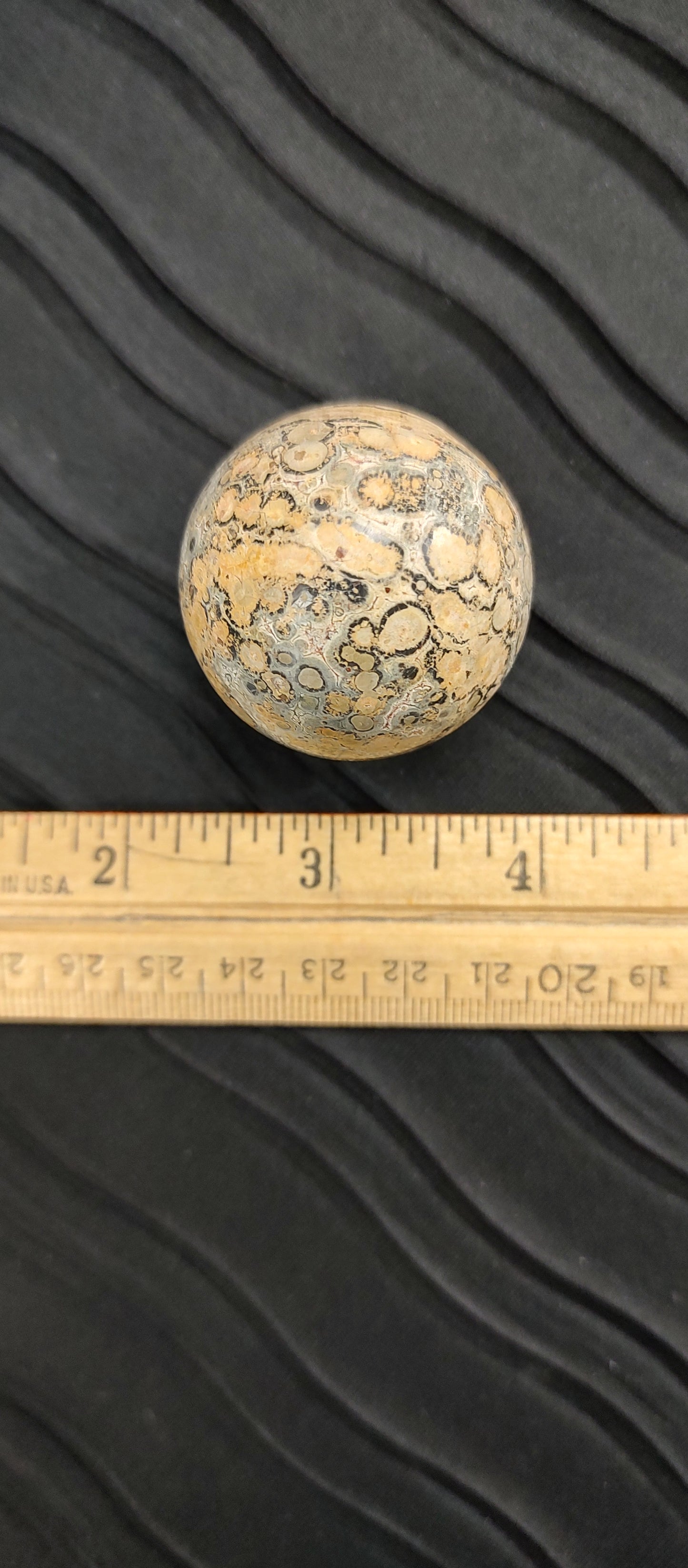 Petrified Wood Sphere #01