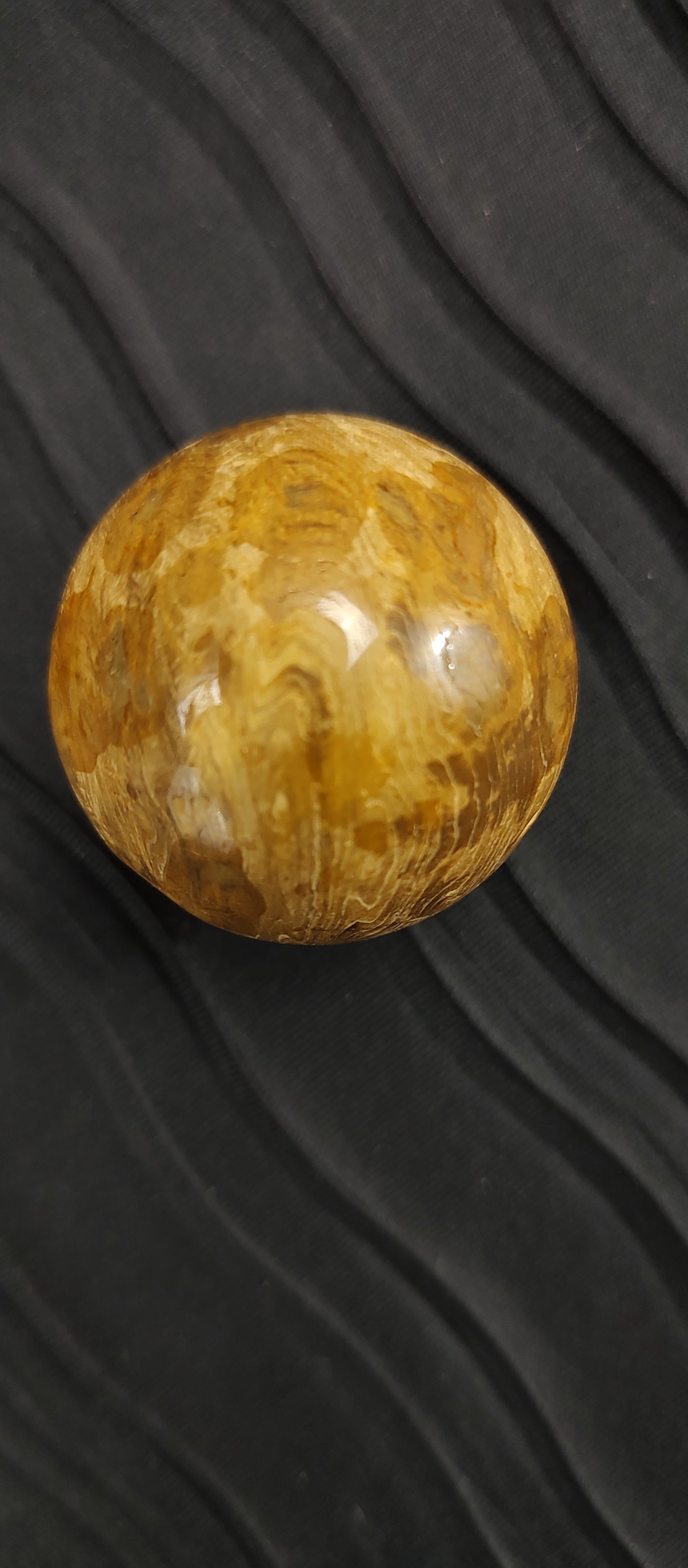 Petrified Wood Sphere #02
