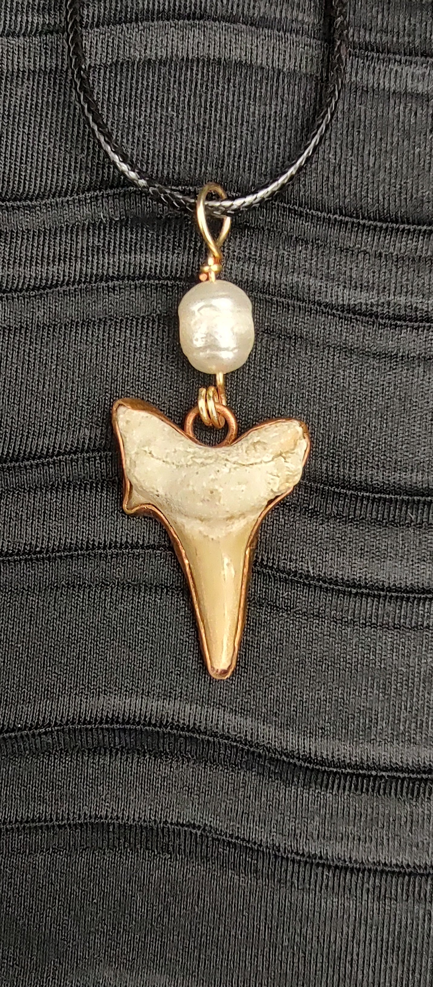 Shark Tooth with Pearl Pendant