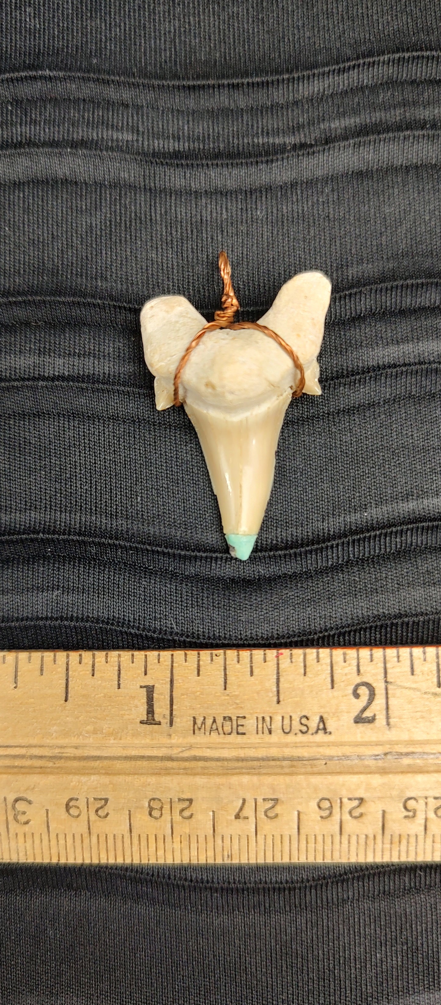 Shark Tooth w/ Turquoise Pendant #02