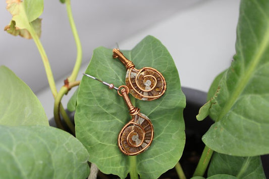 Ammonite Earrings