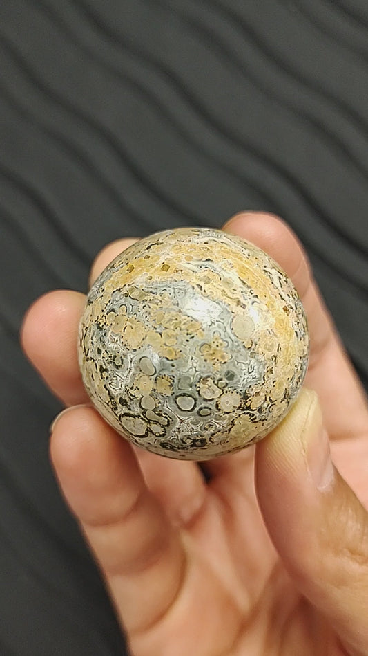 Petrified Wood Sphere #01